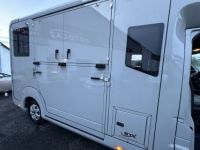 Renault Master STX HORSEBOX CAMION CHEVAUX 5PLACES ASSISES 2  PLACES CHEVAUX DCI 165 CONFORT*TVA RECUPERABLE+2023+10000KMS - <small></small> 69.990 € <small>TTC</small> - #7