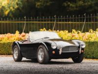 Shelby Cobra 289 CSX8... Street version - Prix sur Demande - #21