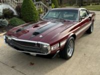 Shelby GT - <small></small> 111.000 € <small>TTC</small> - #1