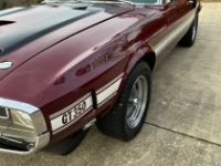 Shelby GT - <small></small> 111.000 € <small>TTC</small> - #12