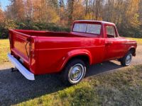 Studebaker Champion Champ  - <small></small> 17.000 € <small>TTC</small> - #5