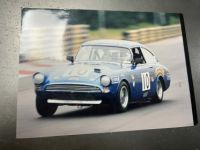 Sunbeam Alpine Harrington Le Mans - <small></small> 55.000 € <small>TTC</small> - #67