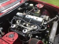 Triumph Stag - <small></small> 30.000 € <small>TTC</small> - #17