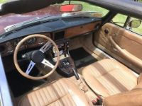 Triumph Stag - <small></small> 30.000 € <small>TTC</small> - #11