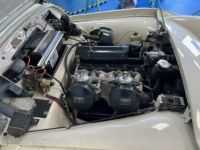 Triumph TR2 1954 LHD-Komplett Restauriert seither 7 TKM gefahren - <small></small> 40.000 € <small>TTC</small> - #5