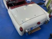 Triumph TR2 1954 LHD-Komplett Restauriert seither 7 TKM gefahren - <small></small> 40.000 € <small>TTC</small> - #7