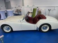 Triumph TR2 1954 LHD-Komplett Restauriert seither 7 TKM gefahren - <small></small> 40.000 € <small>TTC</small> - #8