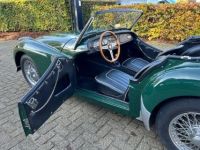 Triumph TR2 1955 - <small></small> 33.950 € <small>TTC</small> - #10