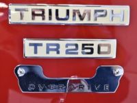 Triumph TR250 + Overdrive - <small></small> 45.900 € <small>TTC</small> - #50