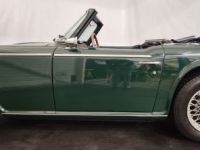 Triumph TR250 - <small></small> 38.750 € <small>TTC</small> - #25