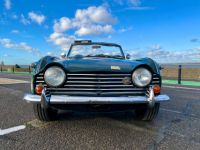 Triumph TR250 - <small></small> 35.900 € <small>TTC</small> - #4