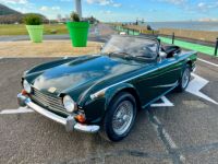 Triumph TR250 - <small></small> 35.900 € <small>TTC</small> - #8