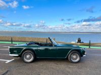 Triumph TR250 - <small></small> 35.900 € <small>TTC</small> - #10