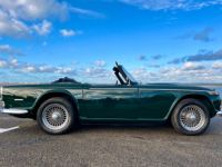 Triumph TR250 - <small></small> 35.900 € <small>TTC</small> - #12