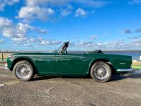 Triumph TR250 - <small></small> 35.900 € <small>TTC</small> - #17