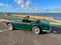 Triumph TR250 - <small></small> 35.900 € <small>TTC</small> - #18