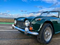 Triumph TR250 - <small></small> 35.900 € <small>TTC</small> - #20