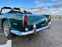 Triumph TR250 - <small></small> 35.900 € <small>TTC</small> - #26