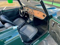 Triumph TR250 - <small></small> 35.900 € <small>TTC</small> - #42