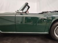 Triumph TR250 - <small></small> 38.750 € <small>TTC</small> - #10