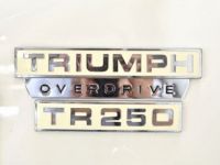 Triumph TR250 Overdrive - <small></small> 45.900 € <small>TTC</small> - #50