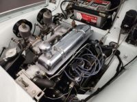 Triumph TR3 - <small></small> 39.900 € <small>TTC</small> - #52