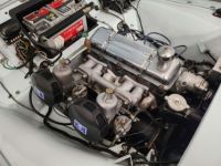 Triumph TR3 - <small></small> 39.900 € <small>TTC</small> - #54