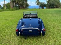 Triumph TR3 - <small></small> 22.000 € <small>TTC</small> - #1