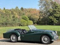 Triumph TR3 - <small></small> 32.000 € <small>TTC</small> - #23