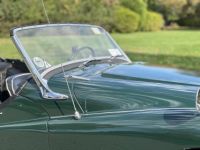 Triumph TR3 - <small></small> 32.000 € <small>TTC</small> - #25