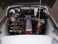 Triumph TR3 - <small></small> 29.900 € <small>TTC</small> - #22