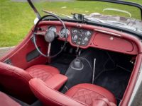 Triumph TR3 B - <small></small> 45.000 € <small>TTC</small> - #34