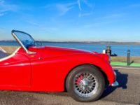 Triumph TR3 Overdive - <small></small> 24.900 € <small>TTC</small> - #18