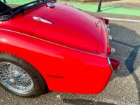 Triumph TR3A - <small></small> 38.900 € <small>TTC</small> - #14