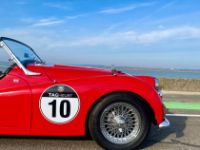 Triumph TR3A - <small></small> 38.900 € <small>TTC</small> - #22