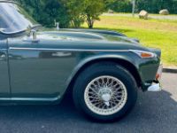 Triumph TR4 - <small></small> 15.900 € <small>TTC</small> - #10