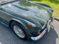 Triumph TR4 - <small></small> 15.900 € <small>TTC</small> - #14