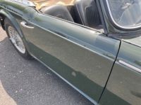 Triumph TR4 - <small></small> 15.900 € <small>TTC</small> - #17