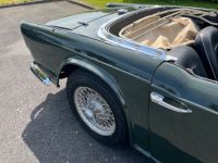 Triumph TR4 - <small></small> 15.900 € <small>TTC</small> - #18