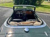 Triumph TR4 - <small></small> 15.900 € <small>TTC</small> - #36