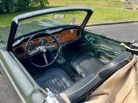 Triumph TR4 - <small></small> 15.900 € <small>TTC</small> - #37