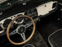 Triumph TR4 TR - <small></small> 22.990 € <small>TTC</small> - #7