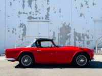 Triumph TR4A - <small></small> 22.000 € <small>TTC</small> - #6