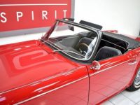 Triumph TR4A TR4 A IRS + Overdrive - <small></small> 39.900 € <small>TTC</small> - #23