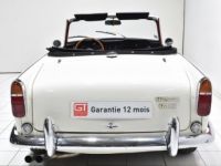 Triumph TR5 PI - <small></small> 59.900 € <small>TTC</small> - #7