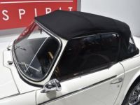 Triumph TR5 PI - <small></small> 59.900 € <small>TTC</small> - #26