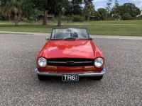 Triumph TR6 - <small></small> 29.000 € <small>TTC</small> - #8