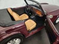 Triumph TR6 - <small></small> 19.900 € <small>TTC</small> - #45