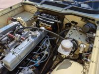 Triumph TR6 - <small></small> 27.000 € <small>TTC</small> - #11