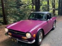 Triumph TR6 - <small></small> 29.000 € <small>TTC</small> - #9